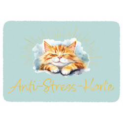 Postkarte - Anti-Stress-Karte Katze