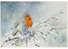 Postkarte - Wintergruss - Frank Koebsch