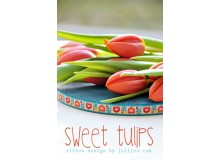 Webband Sweet Tulips