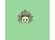 Jersey - Stenzo Panel Panda mint
